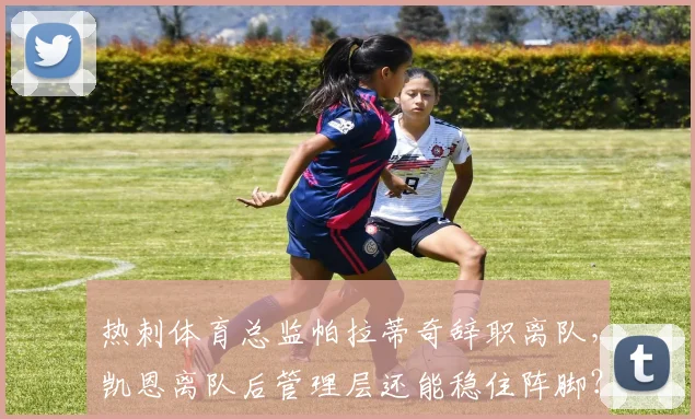 热刺体育总监帕拉蒂奇辞职离队,凯恩离队后管理层还能稳住阵脚?